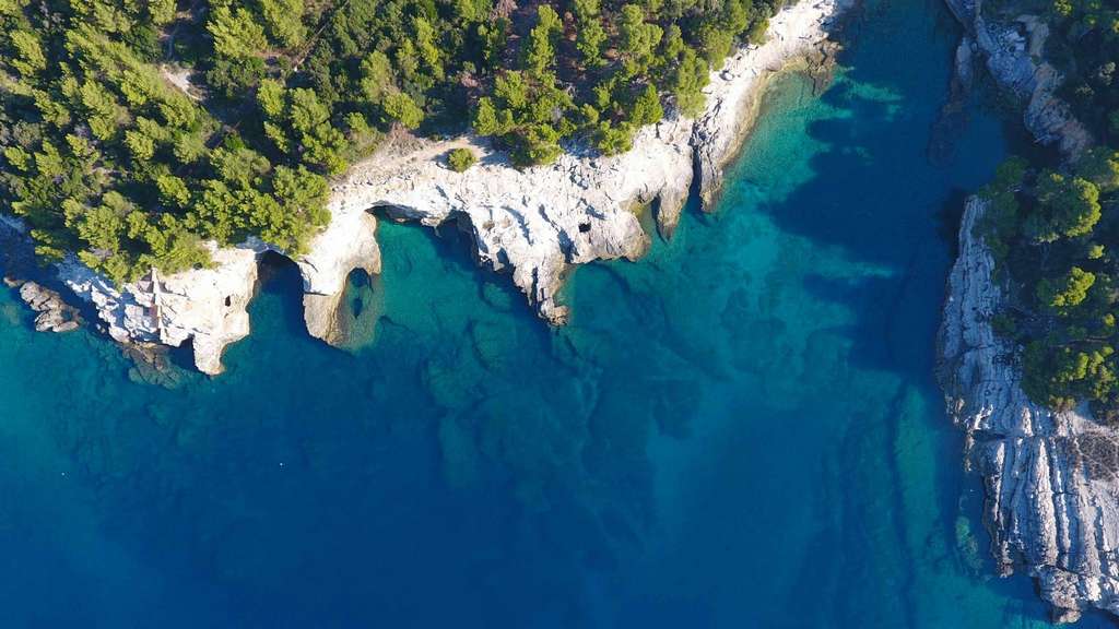 Miljević tours d.o.o.